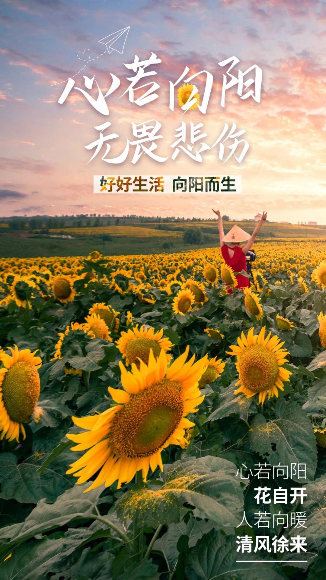 正能量视频www正能量视频正能量视频——传递积极能量，点亮生活之光-第2张图片