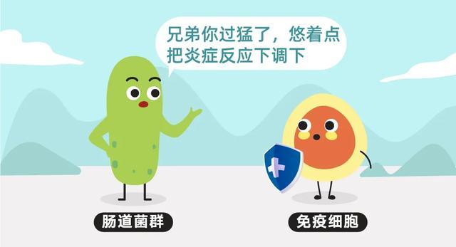 欧美肠交欧美肠交，一种独特的健康生活方式