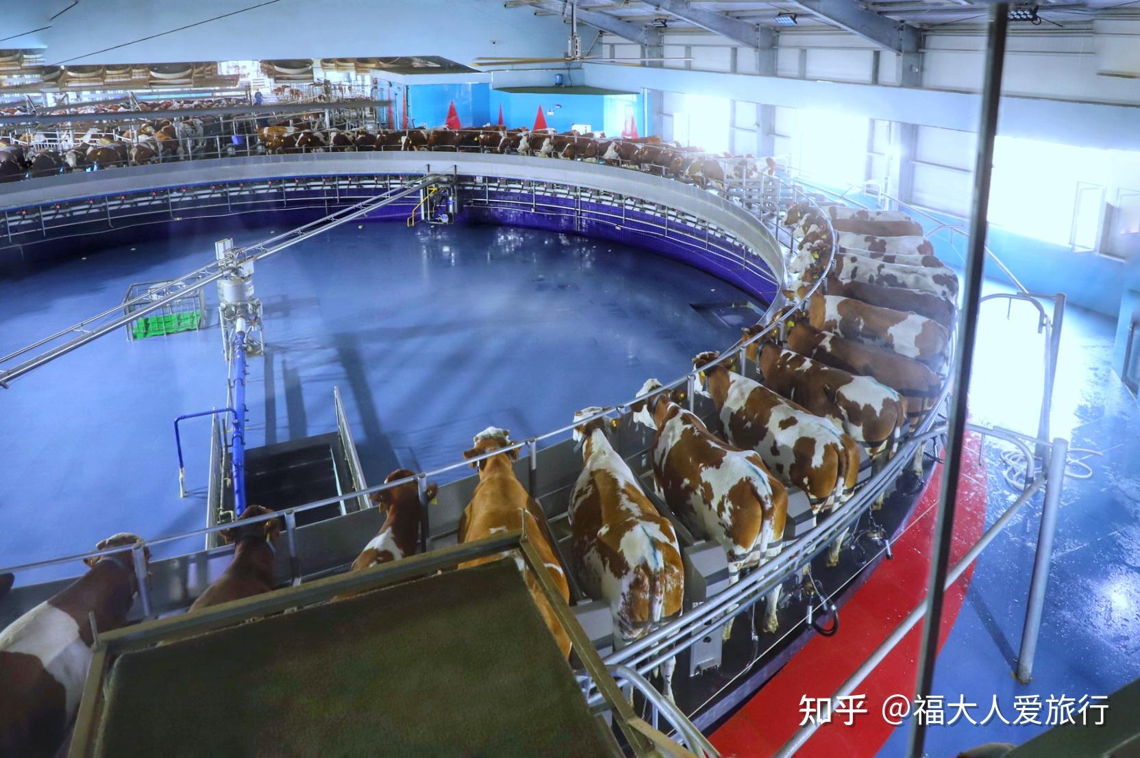奶牛app福引导网站大全入口最新版功能介绍奶牛app福引导网站大全入口——探索与发现-第1张图片