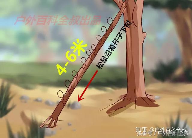 荒野求生陷阱捕兔荒野求生中的陷阱与应对策略