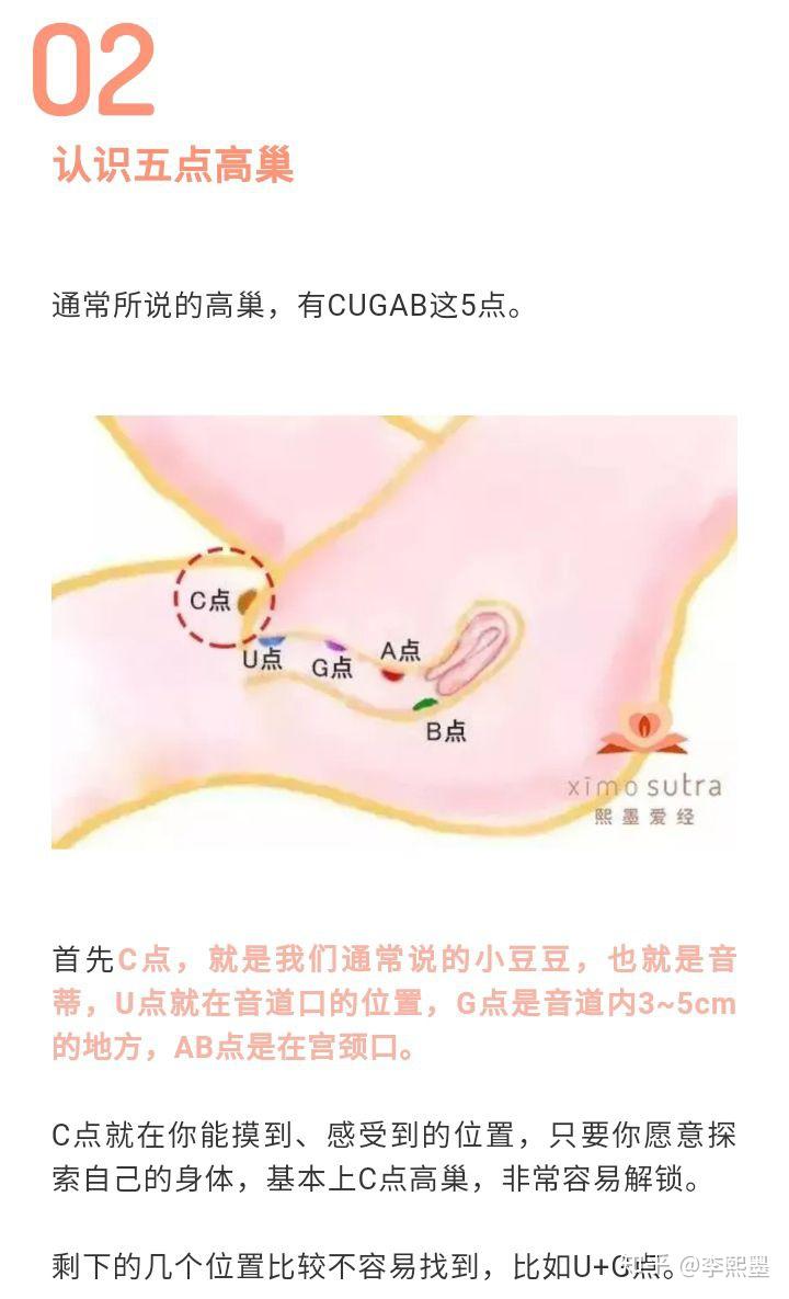 探索与分享，做暧嗳xo小视频的免费途径-第2张图片