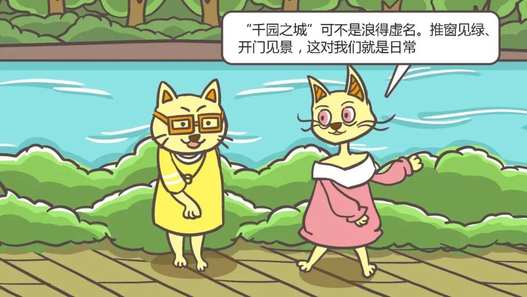 免费高清直播，两个人的精彩世界