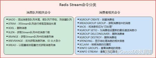 关于2级片的探讨-第3张图片