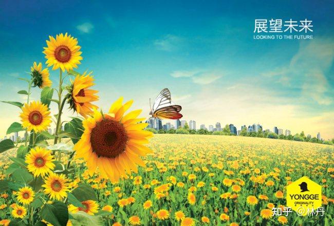 帝国天下，辉煌的历程与未来的展望