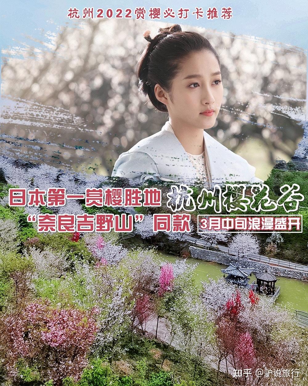 樱花官方正版官网入口指南-第1张图片