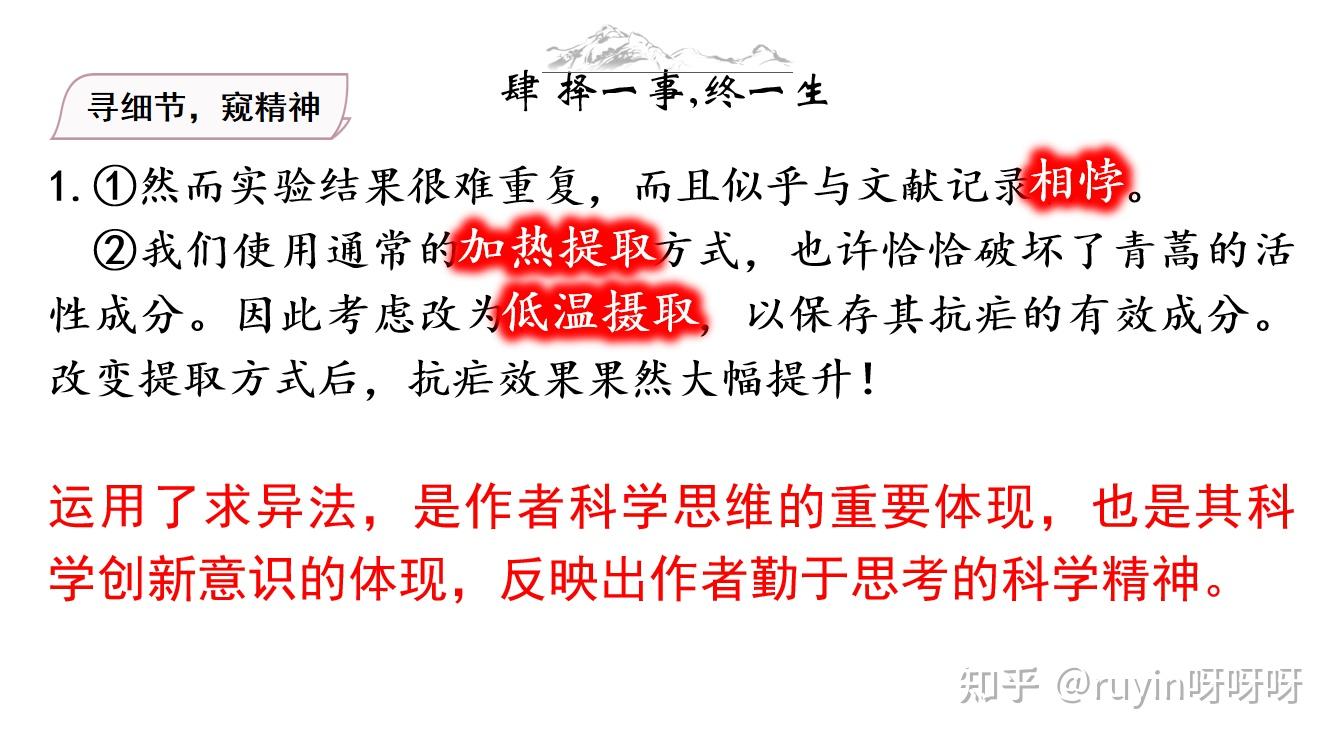 班长失守，一节课的尴尬与反思-第3张图片