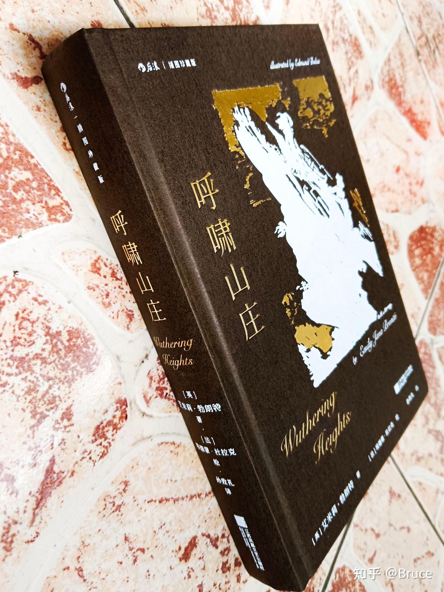 爱与恨的抉择乔吉特海尔小说免费阅读爱与恨的抉择，内心的挣扎与成长-第2张图片