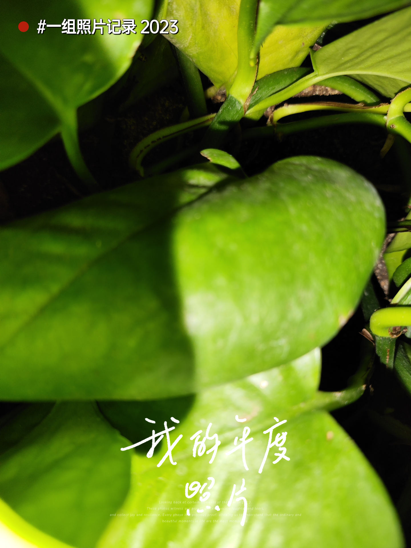 哇嘎 绿色哇嘎绿色，一种生活的呼唤
