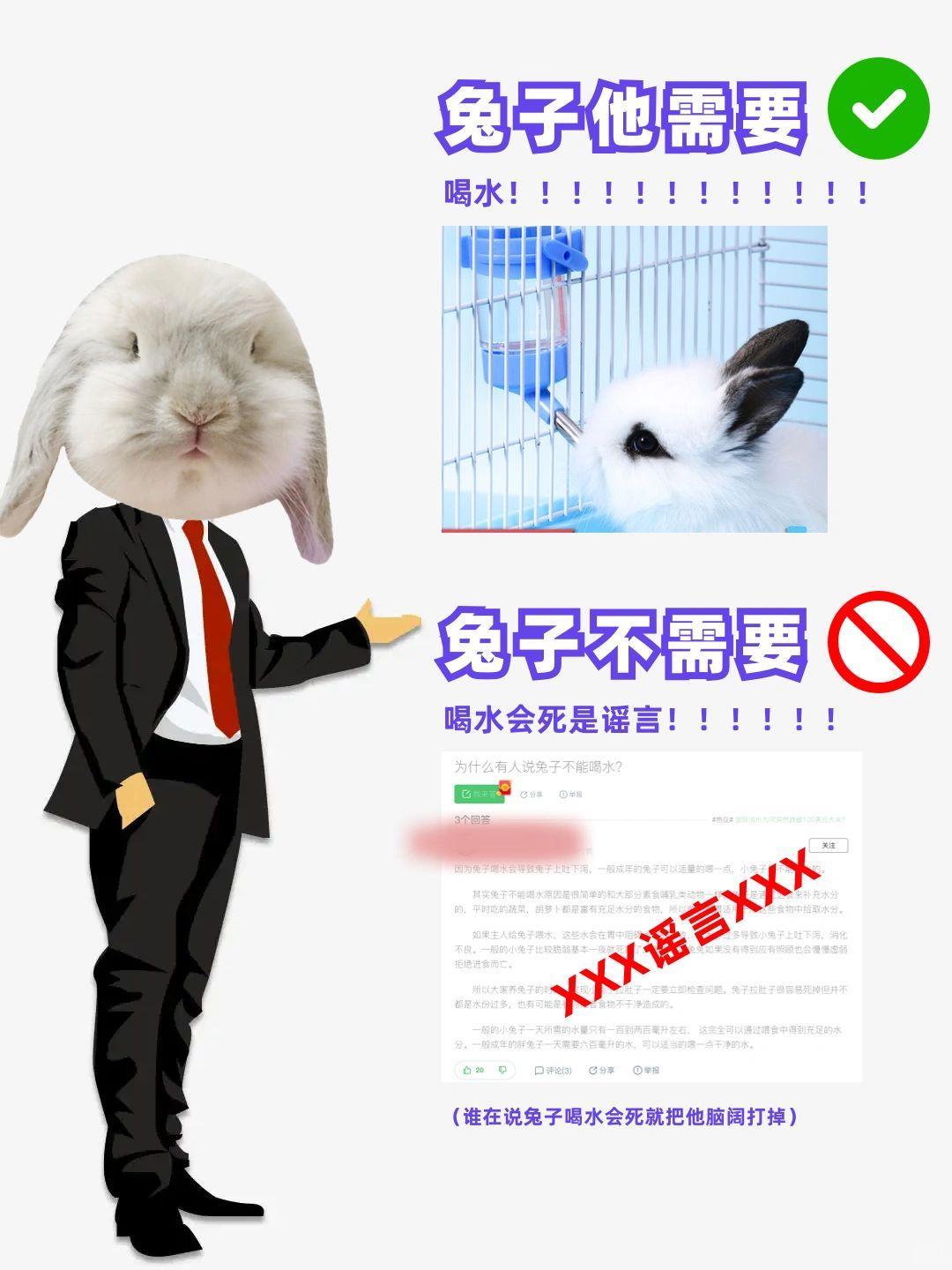 男朋友说想吃我的小兔兔是什么意思解读男朋友想吃我的小兔子的深层含义