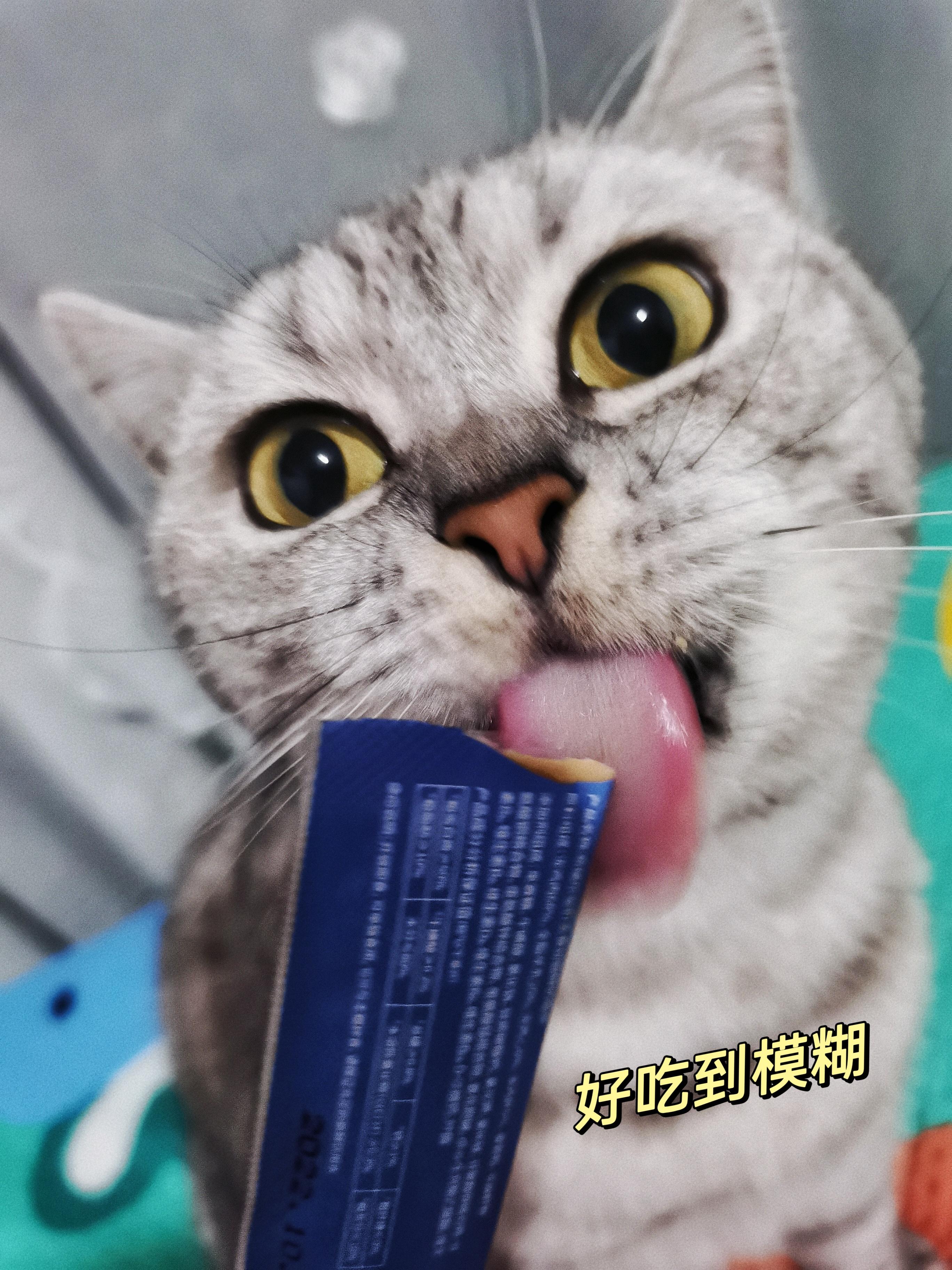 快猫段视频，网络时代的娱乐新宠