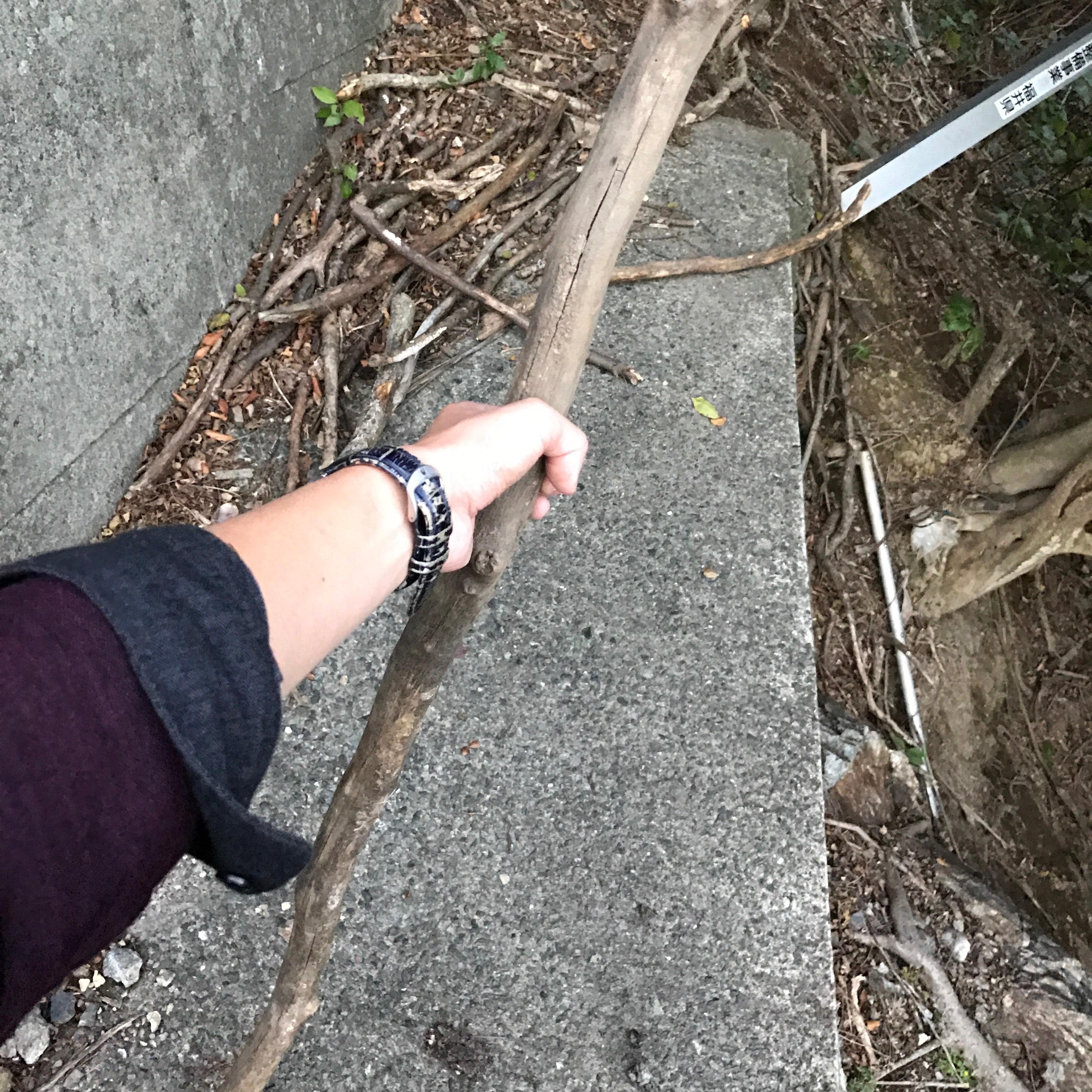 骑在突出的木棒上骑在突出的木棒上，一次奇妙的冒险之旅