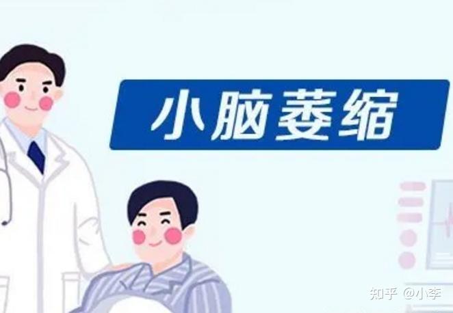 自我调整与精准定位——从扶稳到坐下的视频记录
