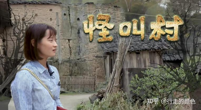 一个傻子弄一个村一个傻子与一个村子的故事