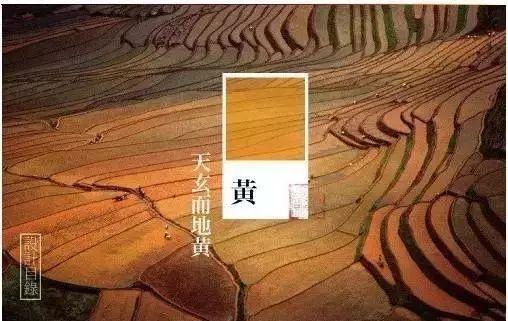 探索成年色彩的深度——全黄大色的魅力-第3张图片