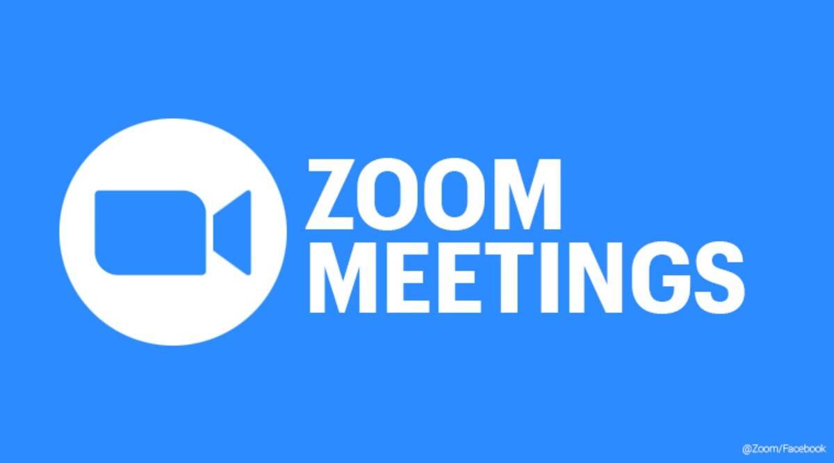 最新的美国zoom动美国ZOOM动物——欢迎您的到来！-第3张图片