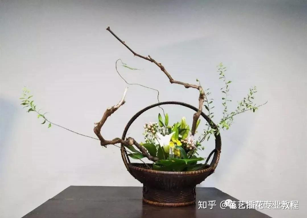 宅宅之爱，独享的温馨与情感的寄托
