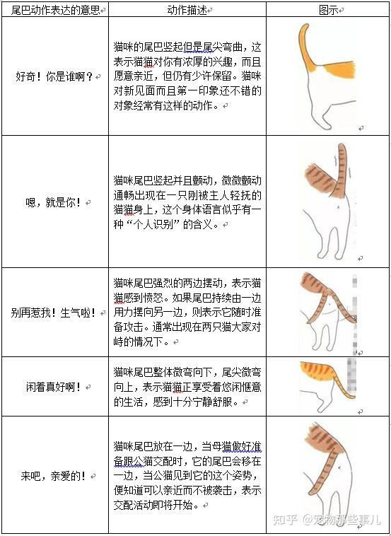 探索writeas内塞猫尾巴的奇妙世界-第2张图片