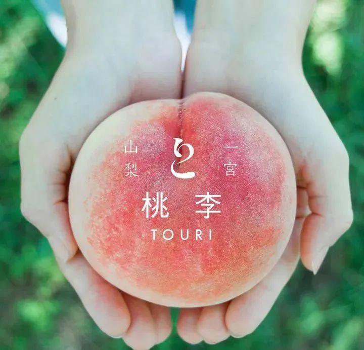 护士的心愿像素桃子移植护士的梦想与像素桃子的移植