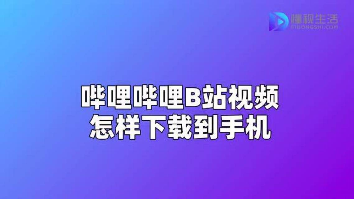 哔哩哔哩隐藏的肉片，探索B站独特的内容魅力