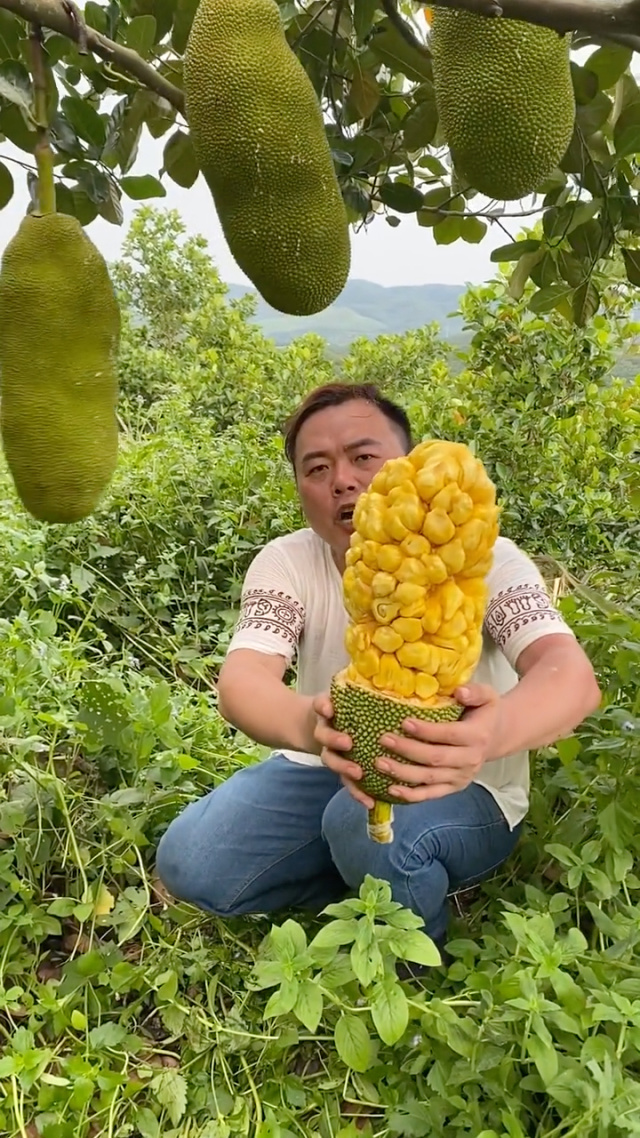 菠萝蜜视频app，探索无限可能的视频体验-第2张图片