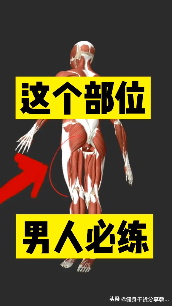 不想痛就把腿分到最大章节关于不想痛就把腿分到最大的探讨