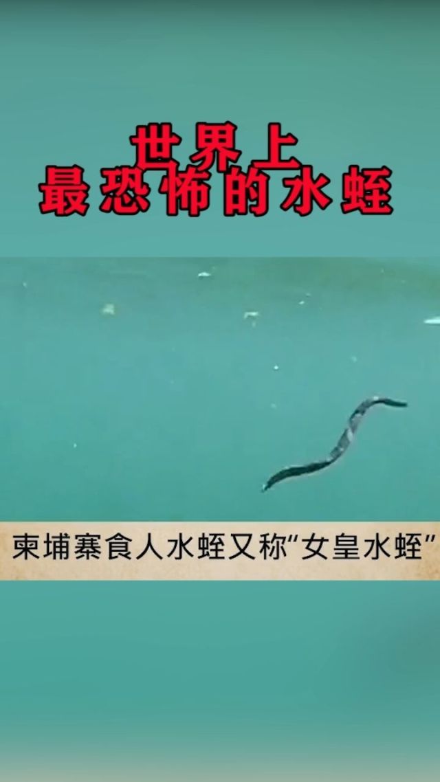 世界上最小的B探索世界之最，世界上最小的B
