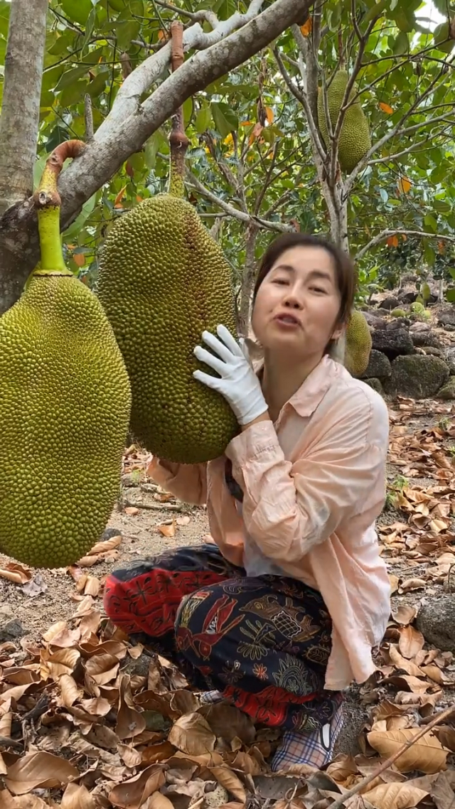 菠萝蜜App视频内容探讨