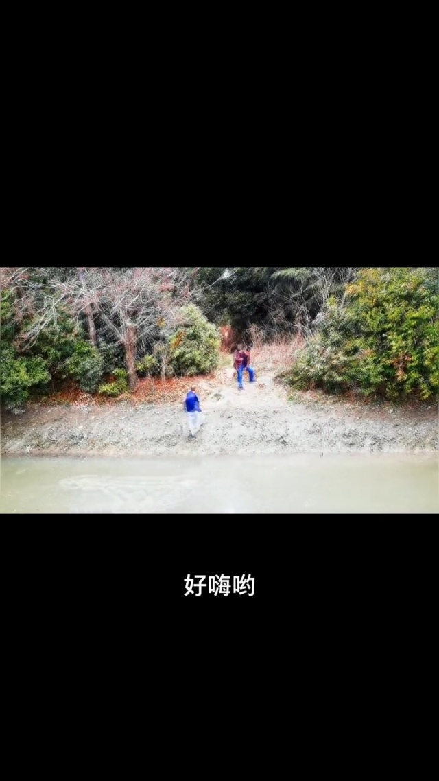 探索好嗨哟在线看片的乐趣与魅力-第2张图片