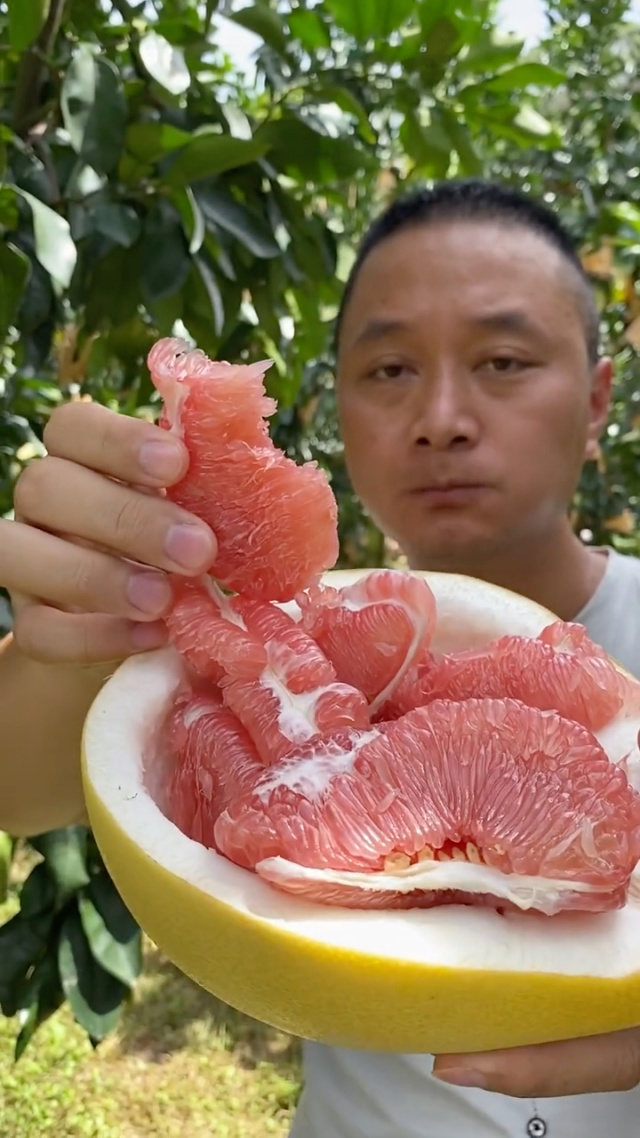 蜜柚视频免费版在线视频下载安装蜜柚视频免费版，在线视频下载的便捷体验-第2张图片