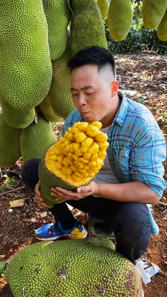 菠萝蜜视频最新在线观看菠萝蜜视频最新在线观看指南