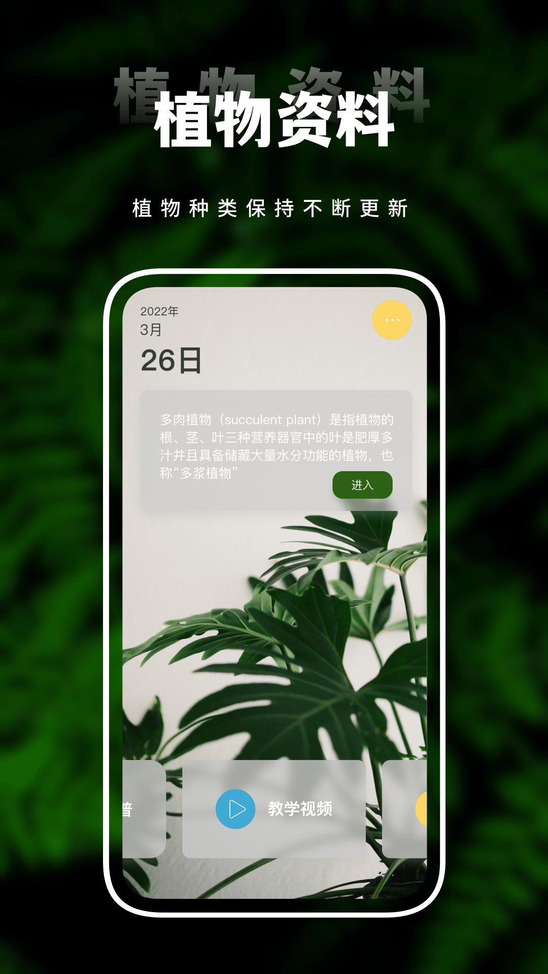 含羞草传媒APP下载正版，体验一天一次的独特魅力-第2张图片