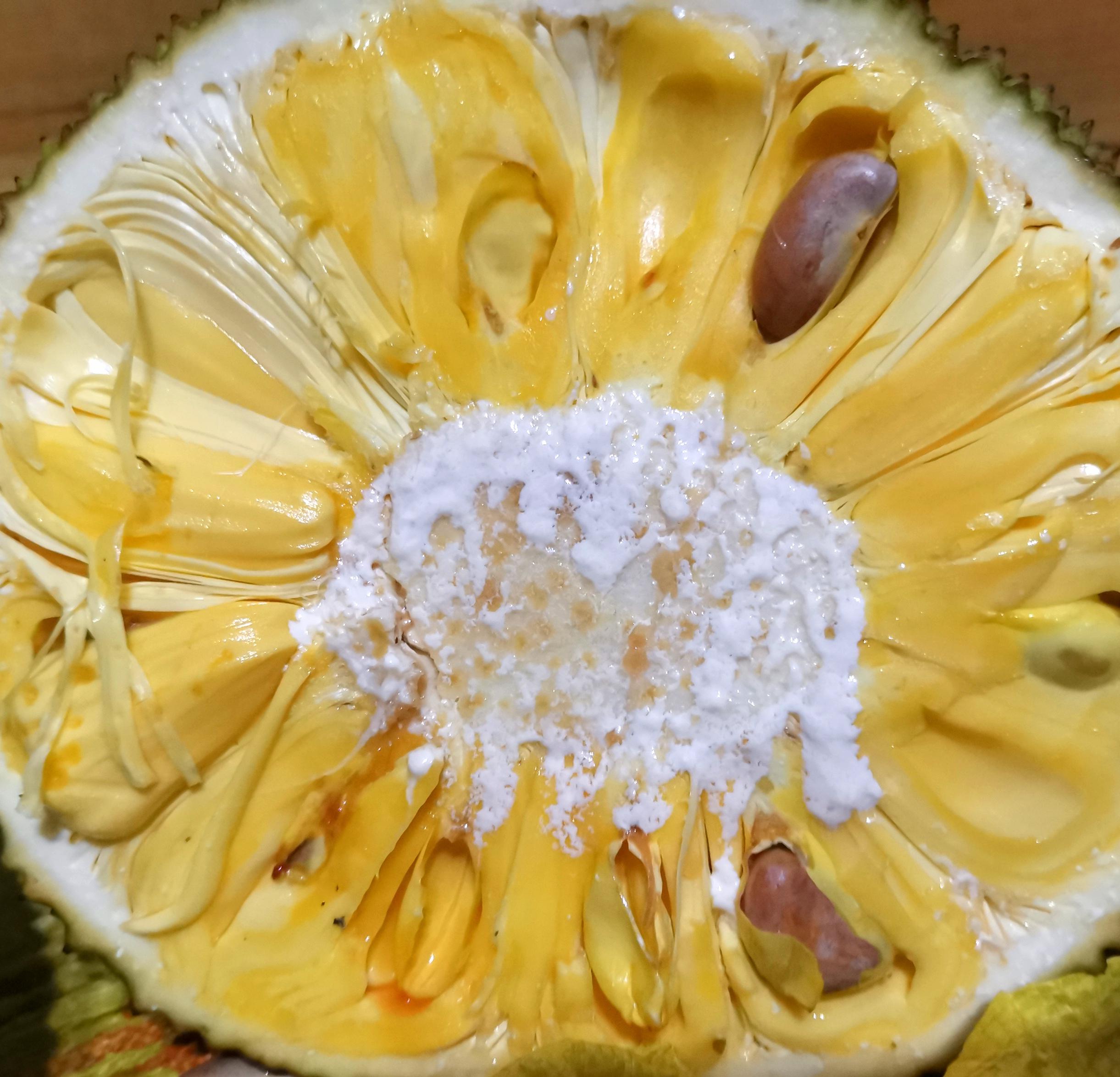 菠萝蜜在线视频观看菠萝蜜在线视频观看的探索与体验-第2张图片