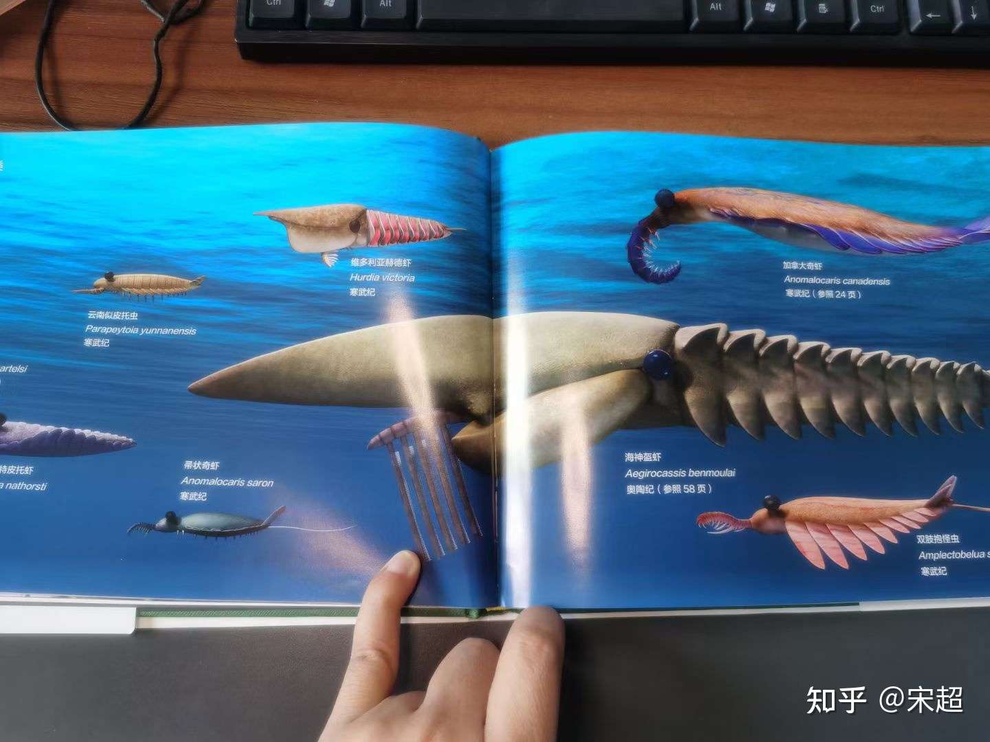 剑齿虎冈布奥的试炼剑齿虎冈布奥的试炼-第2张图片