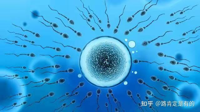 小蝌蚪在线观看视频WWW破解版，风险与警示-第1张图片