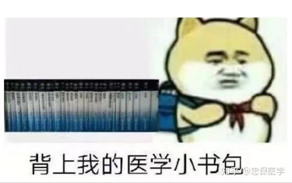 选我还是选它，一场1v1的较量-第1张图片