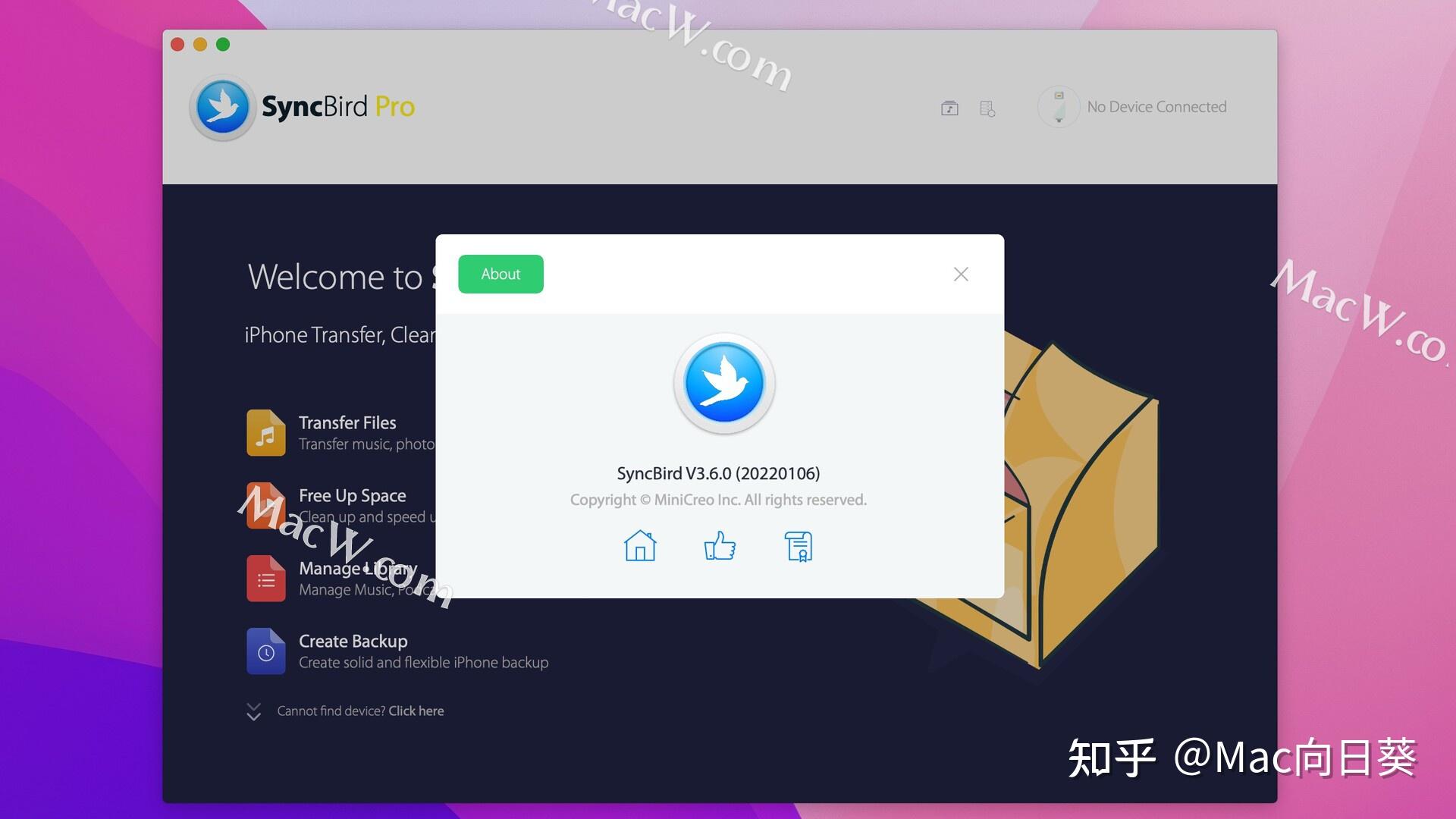 探索向日葵视频app，网站进入与ios站长统计下载指南