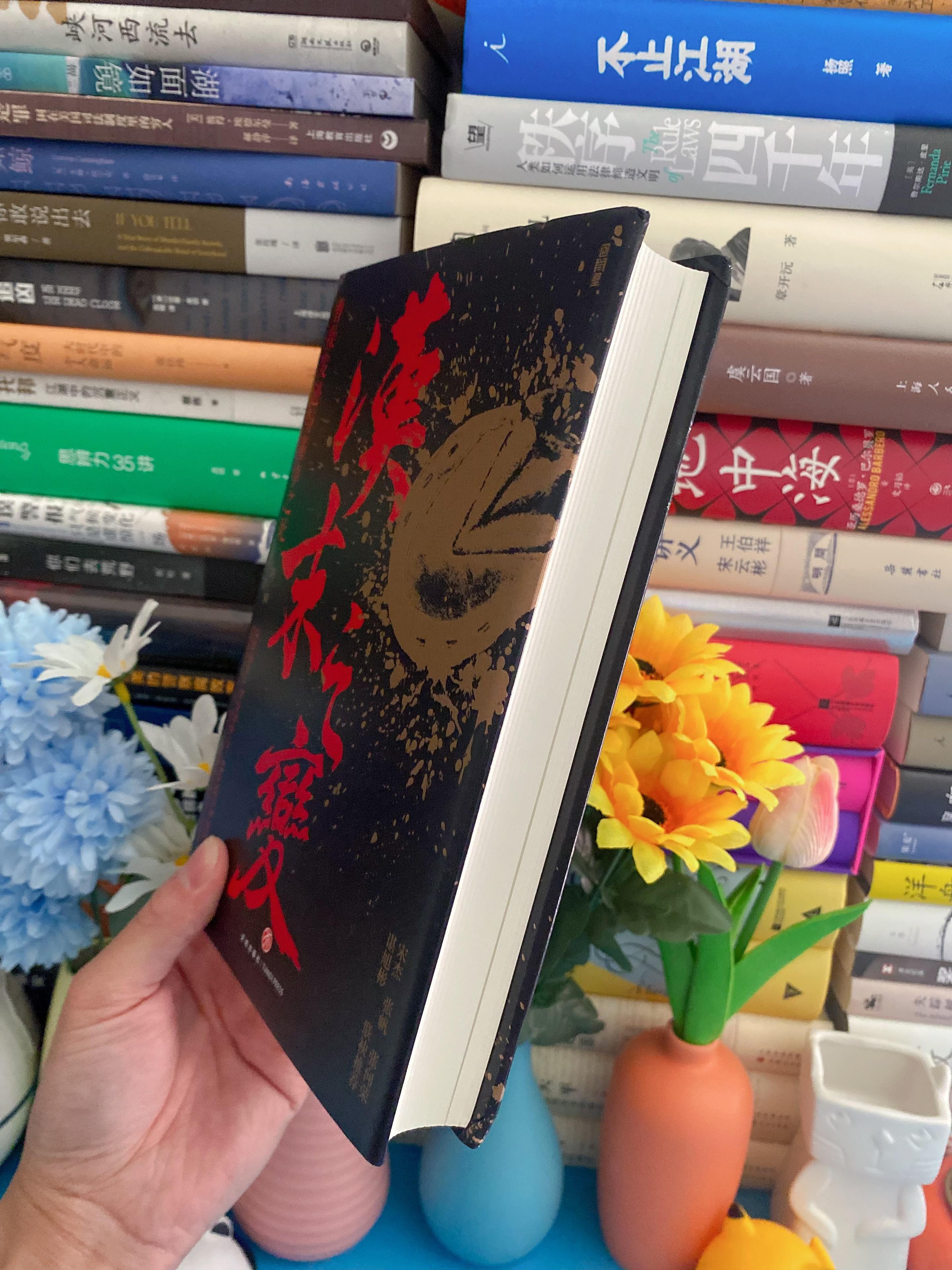 乱世枭雄评书485回，英雄崛起与历史长河的波澜-第3张图片