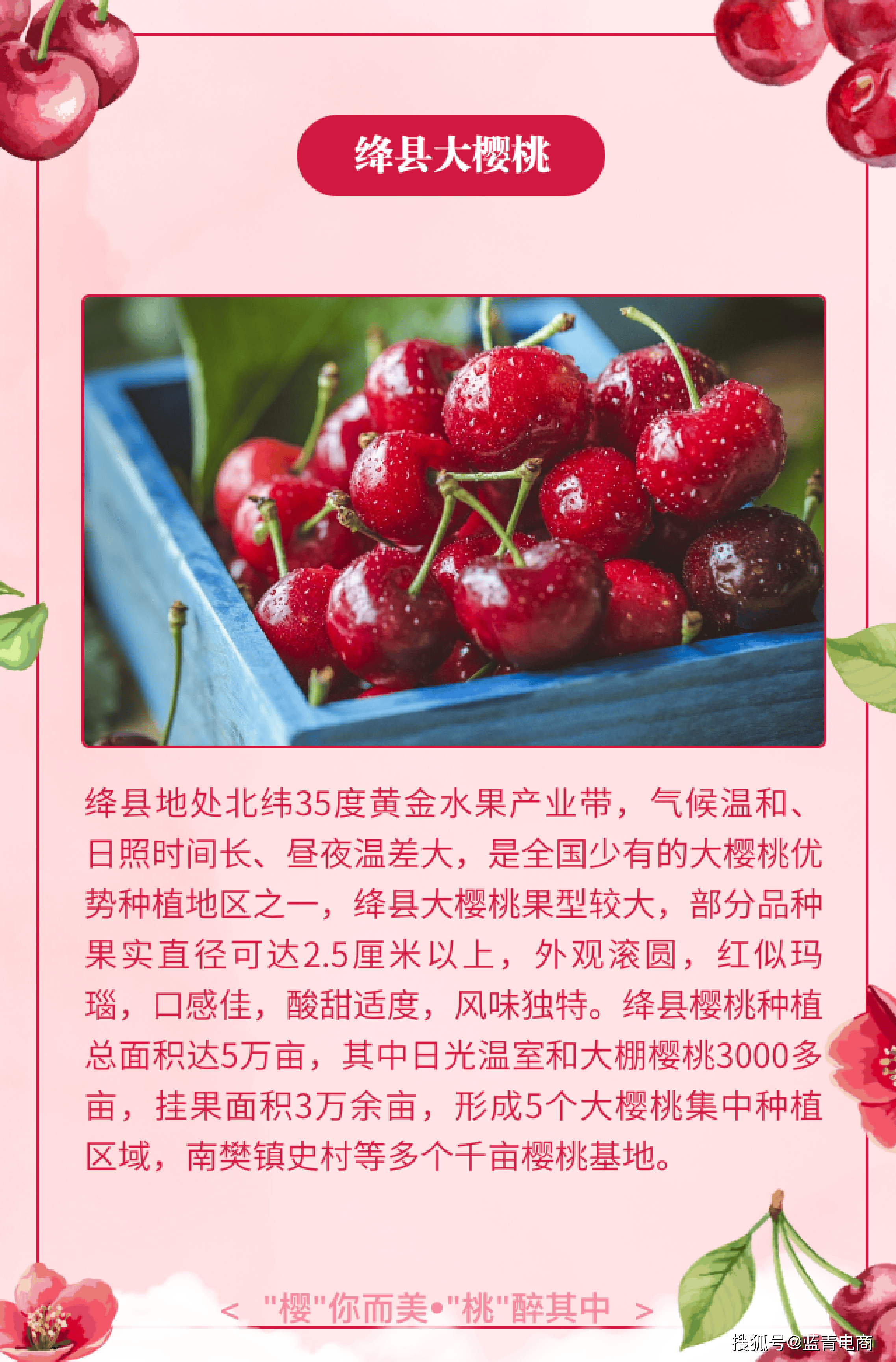 樱桃视频下载安装并能打开樱桃视频，免费观看与轻松下载的优质体验
