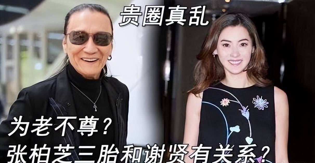 张柏芝第三胎老公是谁天涯扒揭秘张柏芝第三胎的神秘老公
