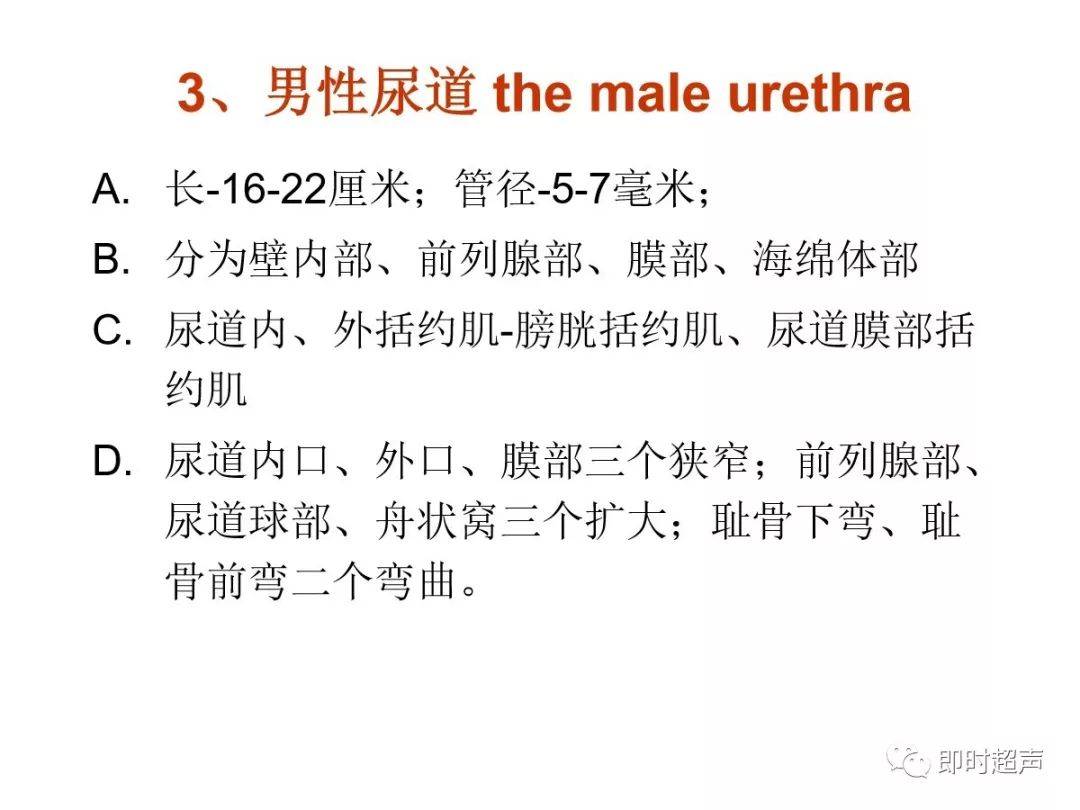 生殖器勃起图片关于生殖器勃起图片的探讨（需谨慎对待）