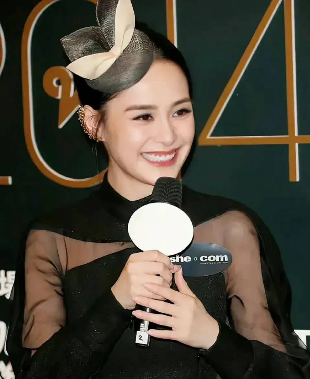 陈冠希与阿娇视频陈冠希与阿娇视频事件，娱乐圈的波澜与反思