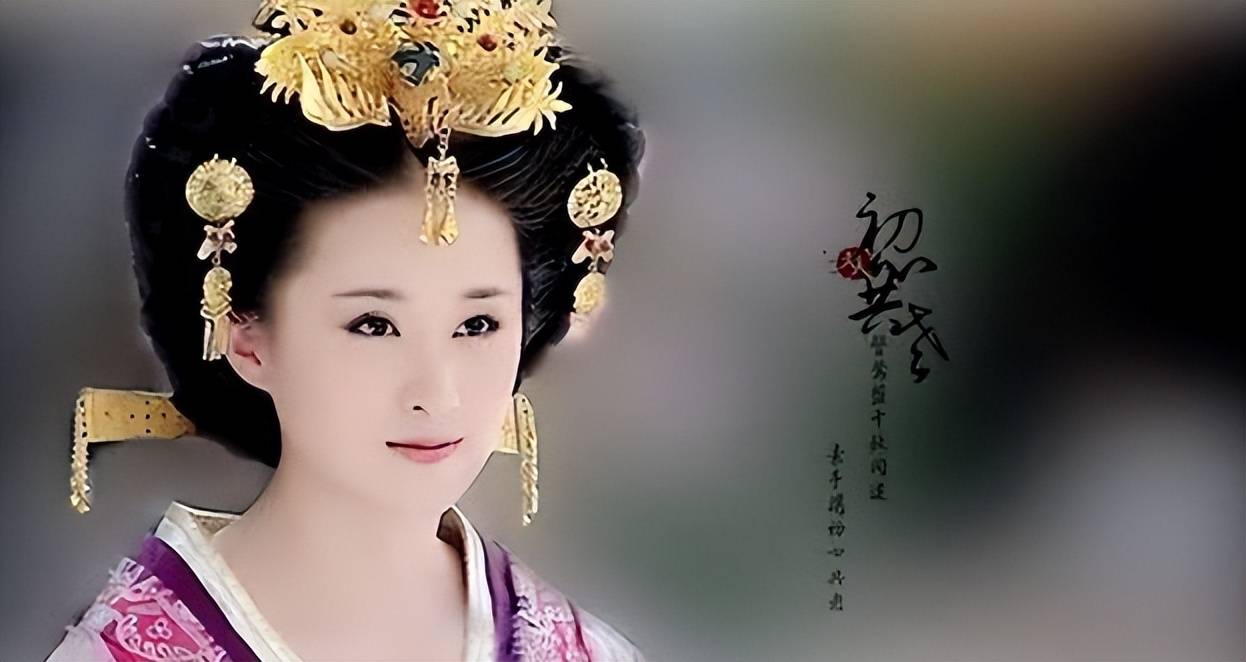 奴妃奴妃的宫廷传奇-第2张图片