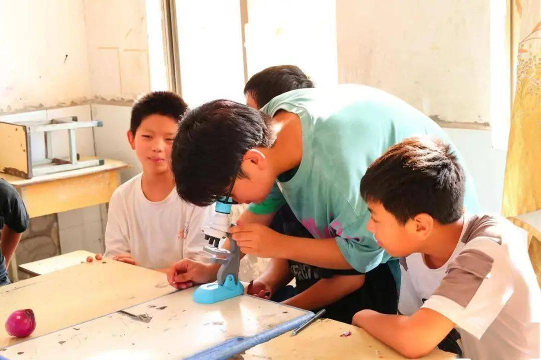 中考前学生集体摸老师光头中考前的一次特殊互动——学生集体摸老师光头-第1张图片