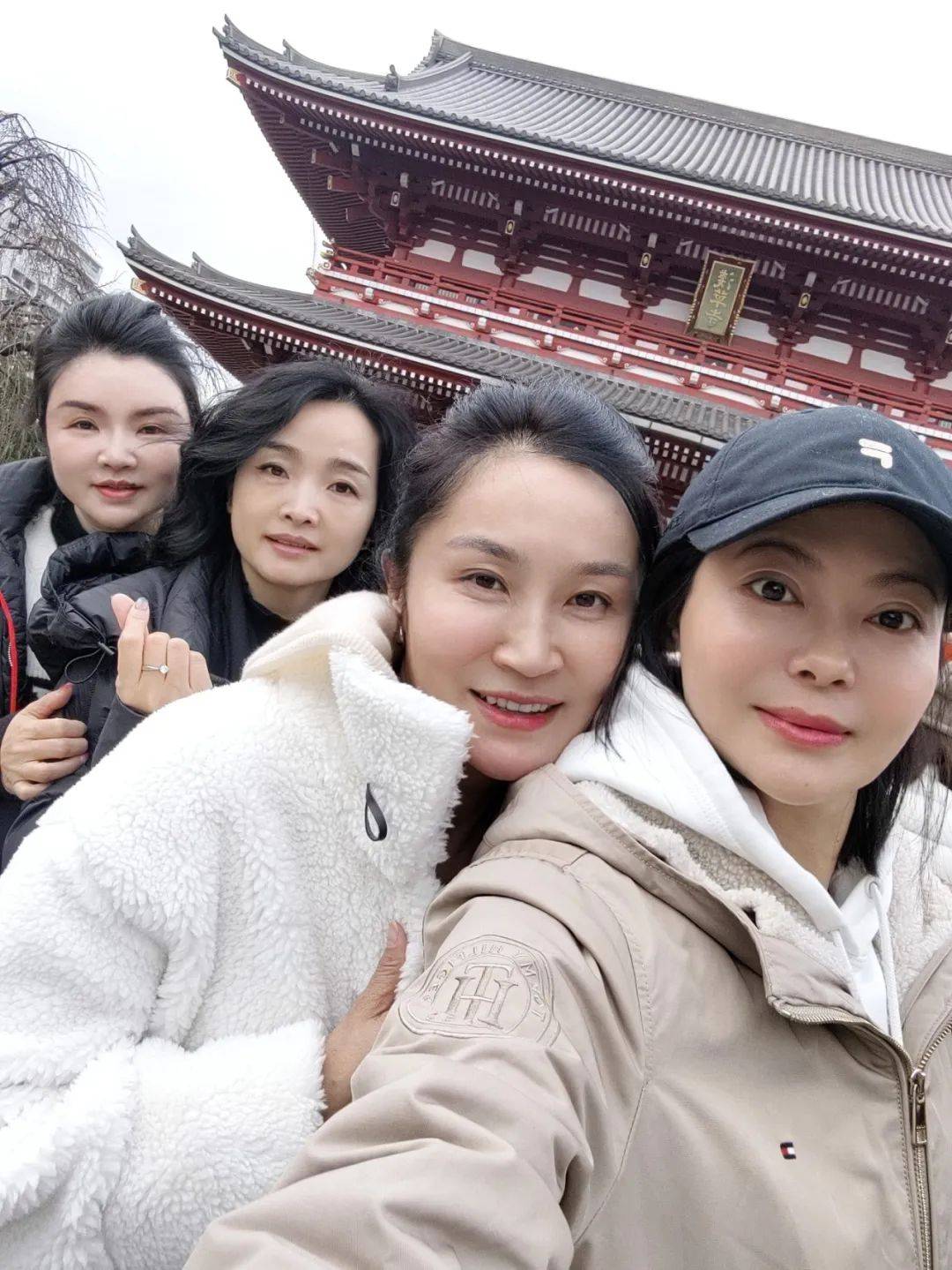 华裔美女张丽百度百科华裔美女张丽，跨越国界的美丽与才华-第2张图片