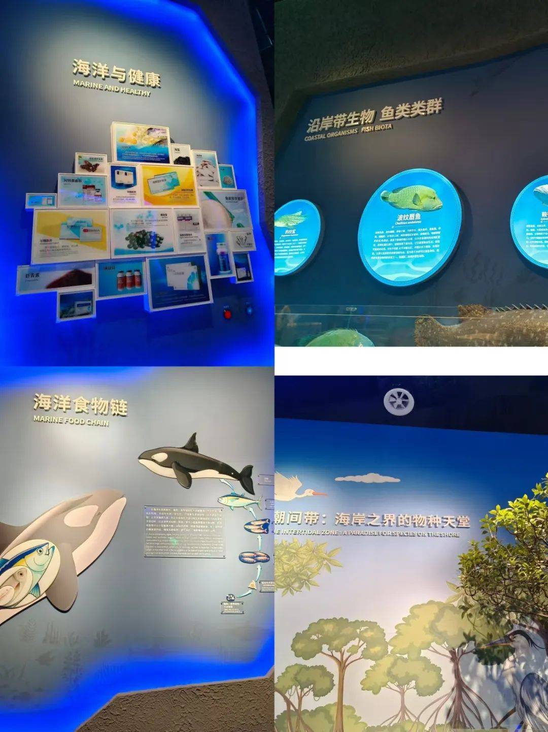 探索天堂资源的奥秘-第3张图片
