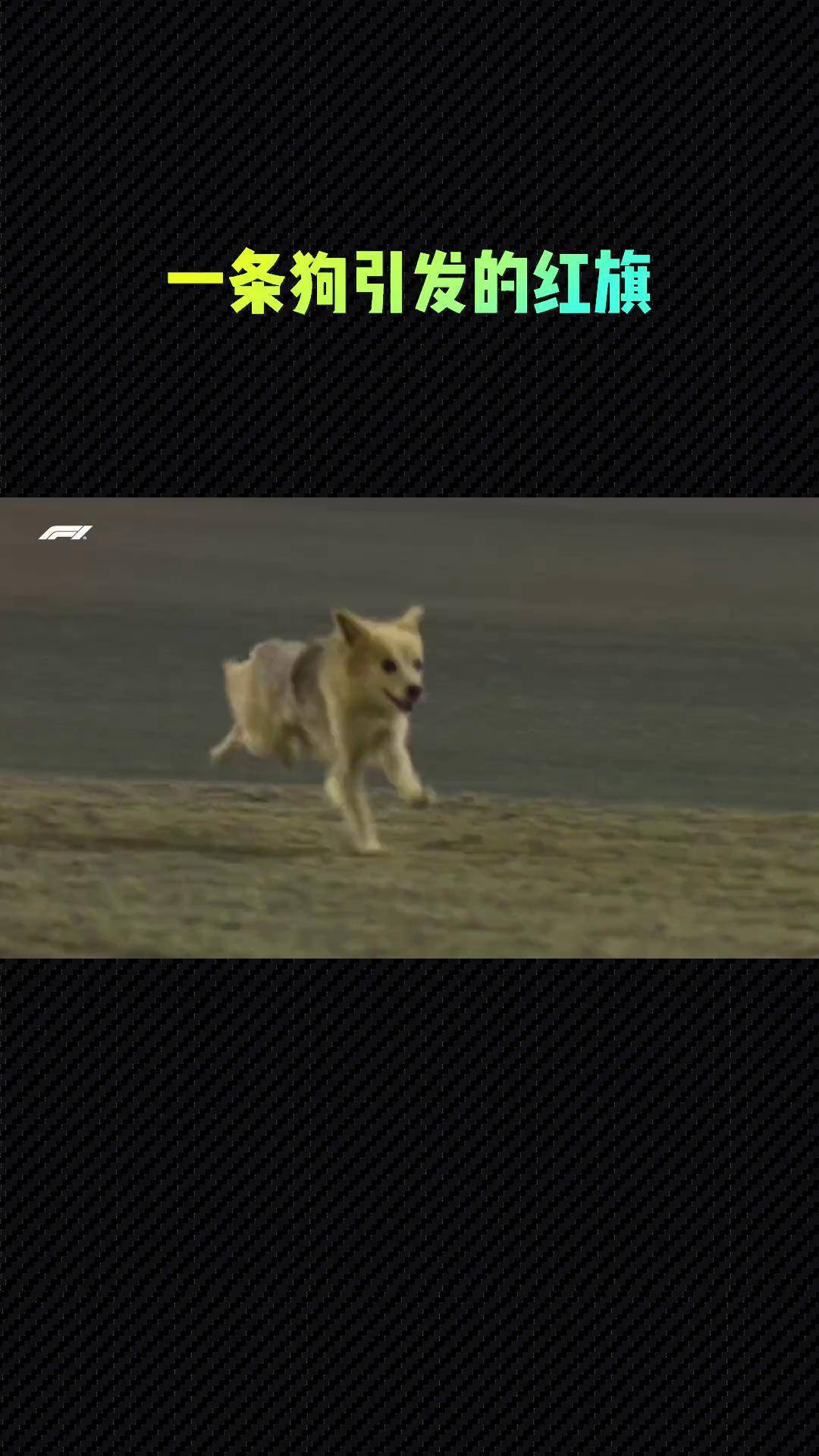 快狗视频改成什么了快狗视频，引领新媒体时代的潮流