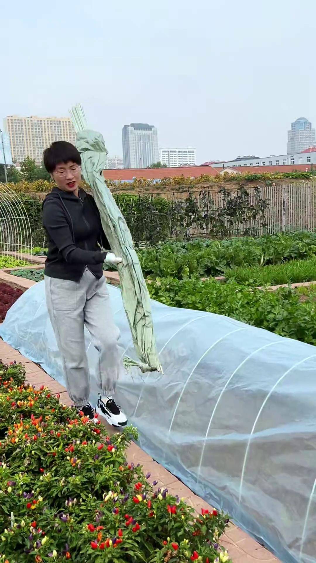 天南铜都青年棚大棚秋棚天南铜都青年棚与大棚秋棚的魅力