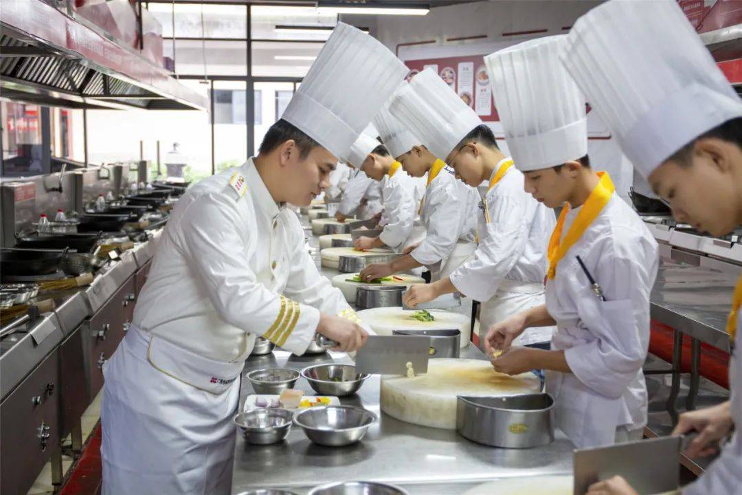 烹饪300烹饪的艺术与魅力