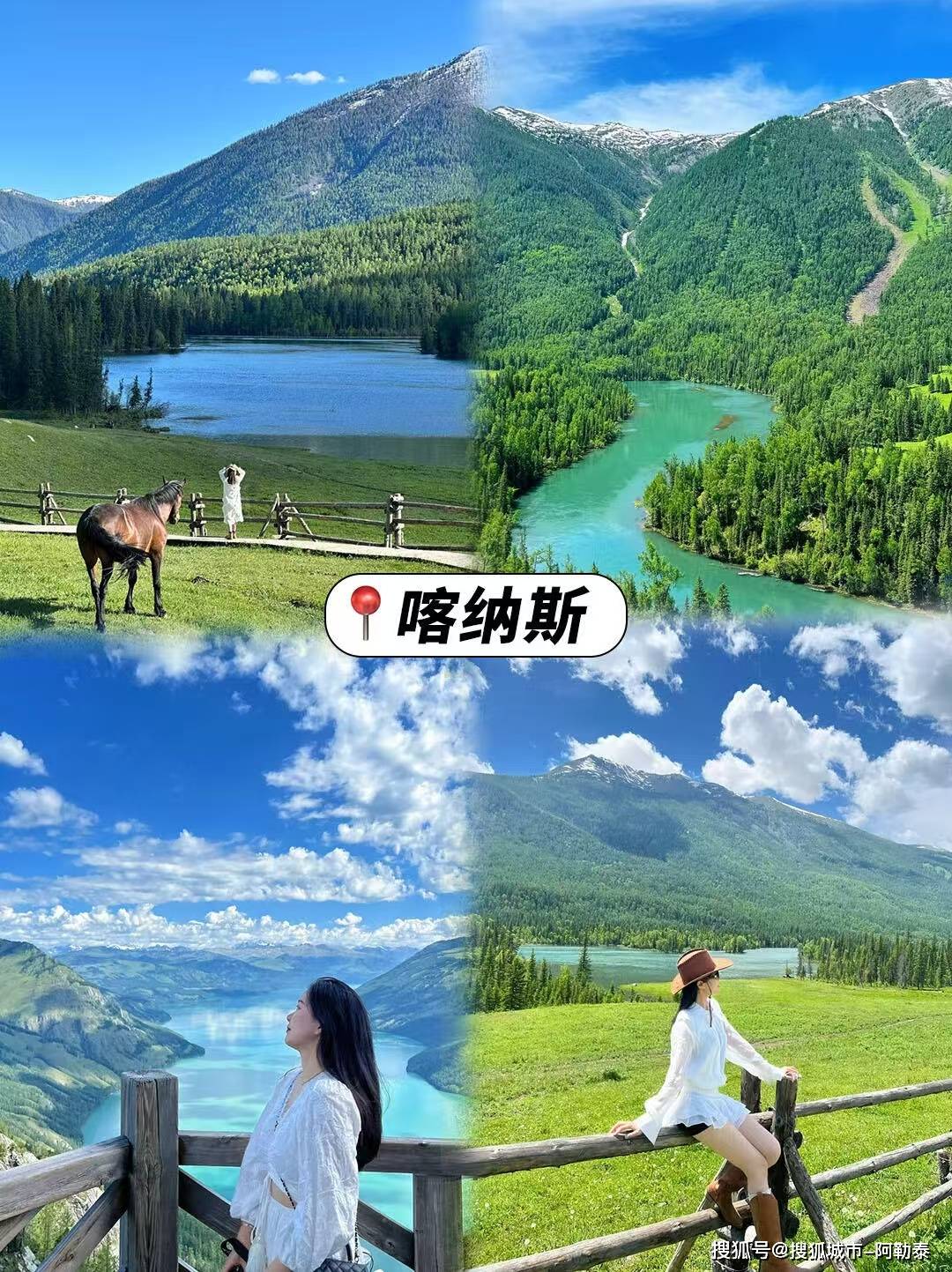 青青的魅力-第2张图片