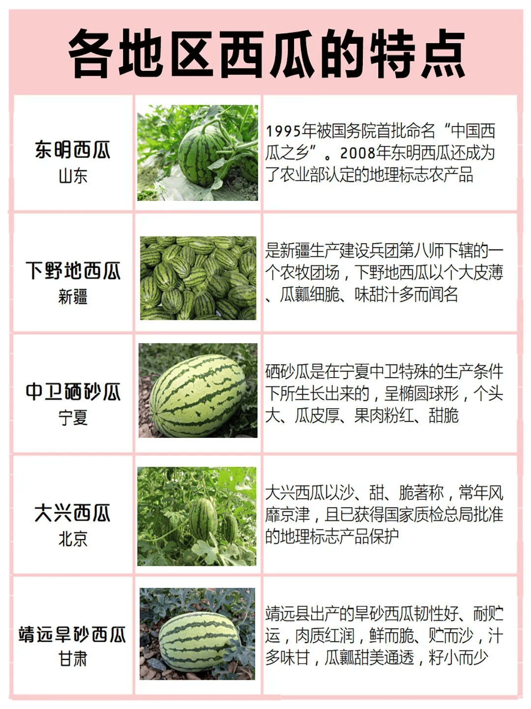 51吃瓜热心的朝阳群众51CGFUN朝阳群众的热情吃瓜与51CGFUN的魅力-第3张图片